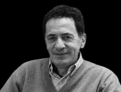 Professor Dominique Gossot